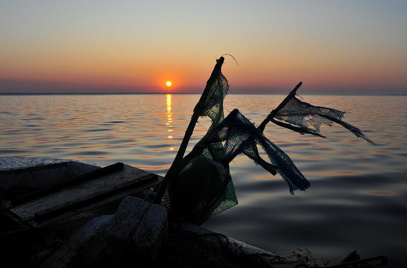 Fileyeur Arcachon ab2.JPG